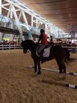 Sammy und Kathrin im Cavallo Ring.JPG